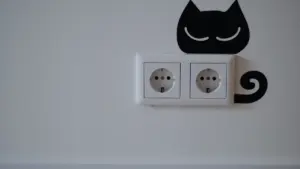 Siguldas ģimenēm: elektrodroša vasara bērniem: kas jāzina iedzīvotājiem