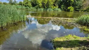 Jelgavā Driksā slēgta lietusūdens kanalizācija