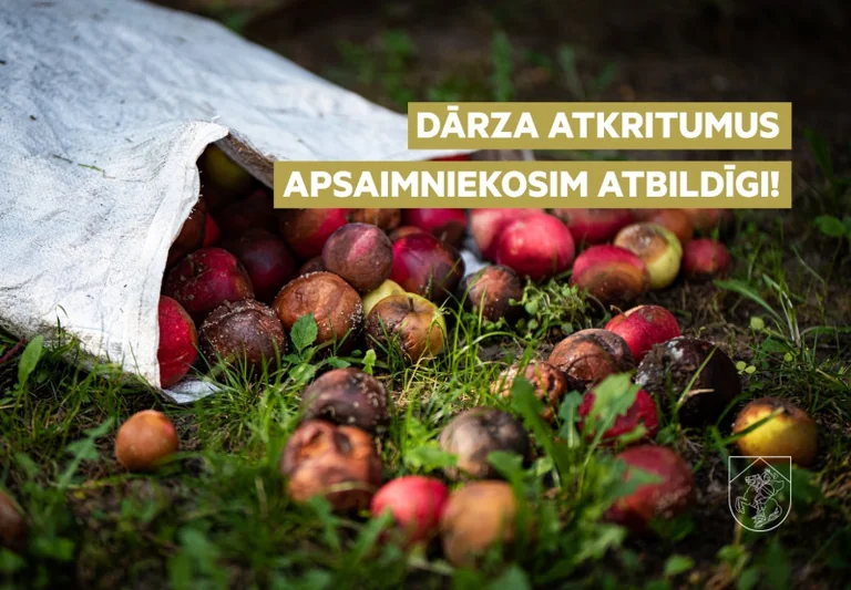 Dārza atkritumi Cēsīs: kāpēc tos nedrīkst vest uz mežu?
