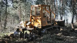 Mežkopjiem visā Latvijā palikusi nedēļa LVM konkursam